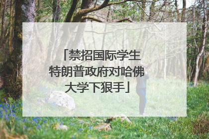 禁招国际学生 特朗普政府对哈佛大学下狠手