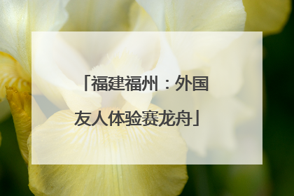 福建福州：外国友人体验赛龙舟