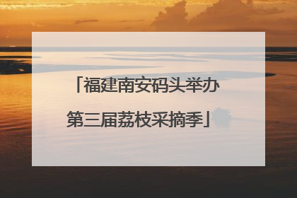 福建南安码头举办第三届荔枝采摘季