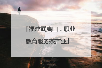 福建武夷山：职业教育服务茶产业