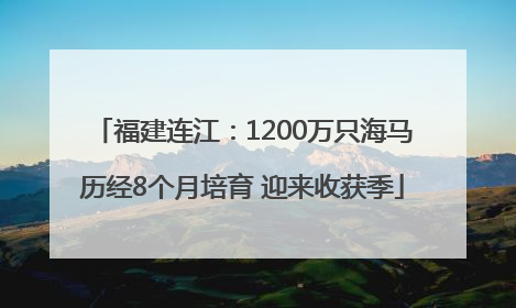 福建连江：1200万只海马历经8个月培育 迎来收获季