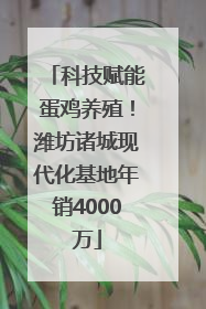 科技赋能蛋鸡养殖！潍坊诸城现代化基地年销4000万