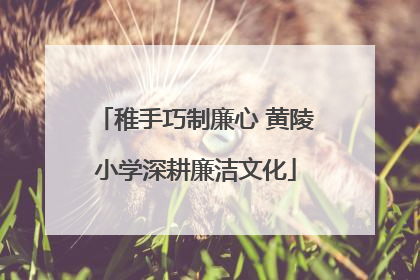 稚手巧制廉心 黄陵小学深耕廉洁文化