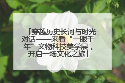 穿越历史长河与时光对话——来看“一眼千年”文物科技美学展，开启一场文化之旅