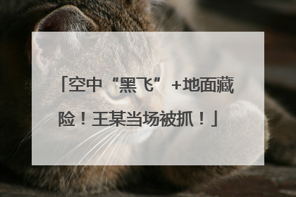 空中“黑飞”+地面藏险！王某当场被抓！