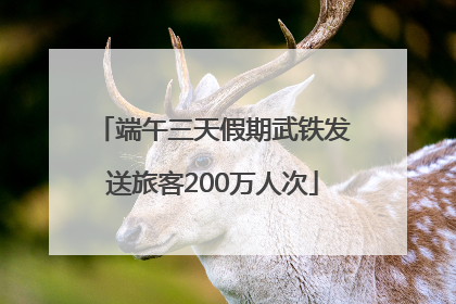 端午三天假期武铁发送旅客200万人次