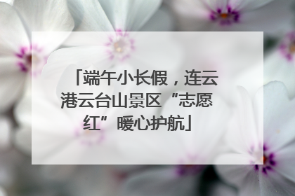 端午小长假，连云港云台山景区“志愿红”暖心护航
