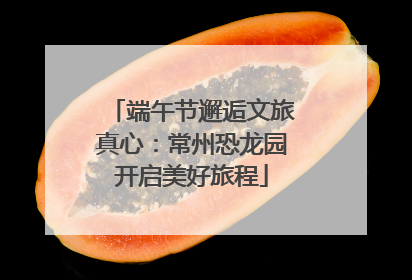 端午节邂逅文旅真心：常州恐龙园开启美好旅程