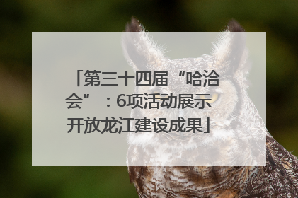 第三十四届“哈洽会”：6项活动展示开放龙江建设成果