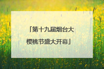 第十九届烟台大樱桃节盛大开幕