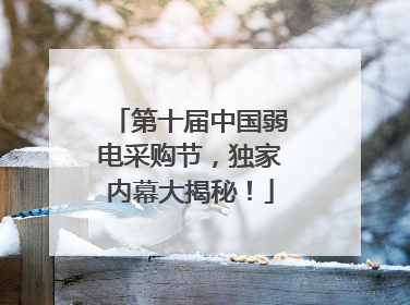 第十届中国弱电采购节，独家内幕大揭秘！