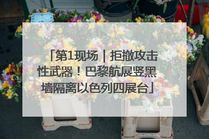 第1现场｜拒撤攻击性武器！巴黎航展竖黑墙隔离以色列四展台