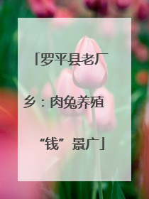 罗平县老厂乡：肉兔养殖“钱”景广