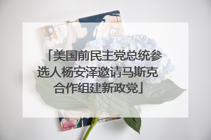 美国前民主党总统参选人杨安泽邀请马斯克合作组建新政党