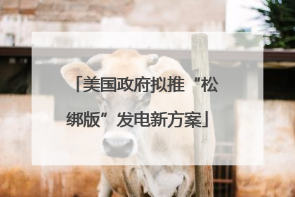 美国政府拟推“松绑版”发电新方案