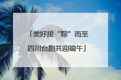 美好接“粽”而至 四川台胞共迎端午