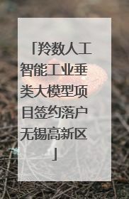 羚数人工智能工业垂类大模型项目签约落户无锡高新区