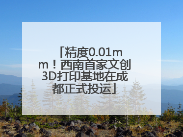 精度0.01mm！西南首家文创3D打印基地在成都正式投运