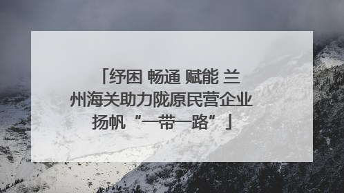 纾困 畅通 赋能 兰州海关助力陇原民营企业扬帆“一带一路”