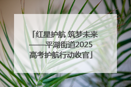 红星护航 筑梦未来——平湖街道2025高考护航行动收官