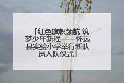 红色旗帜领航 筑梦少年新程——怀远县实验小学举行新队员入队仪式