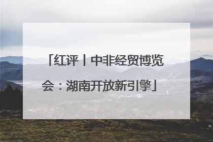 红评丨中非经贸博览会：湖南开放新引擎