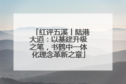红评五溪丨陆港大道：以基建升级之笔，书鹤中一体化理念革新之章
