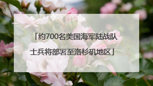 约700名美国海军陆战队士兵将部署至洛杉矶地区