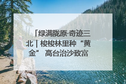 绿满陇原·奇迹三北｜梭梭林里种“黄金” 高台治沙致富很“从容”