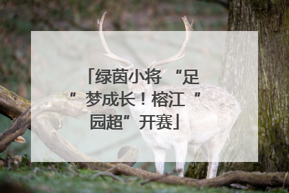 绿茵小将 “足”梦成长！榕江“园超”开赛