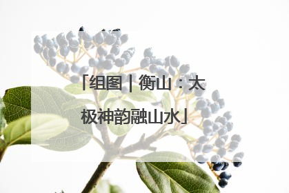 组图｜衡山：太极神韵融山水