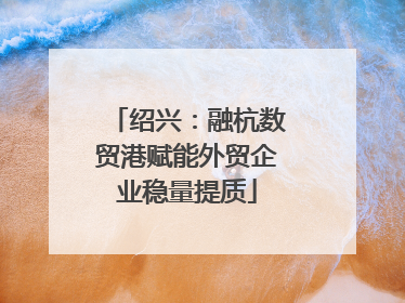 绍兴：融杭数贸港赋能外贸企业稳量提质