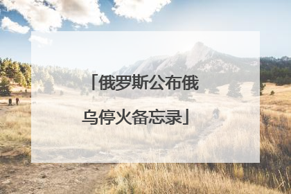 俄罗斯公布俄乌停火备忘录