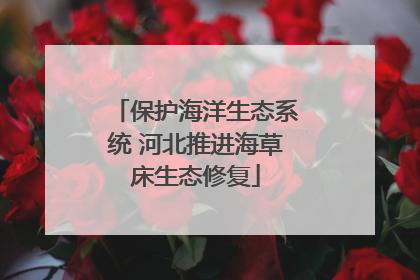 保护海洋生态系统 河北推进海草床生态修复