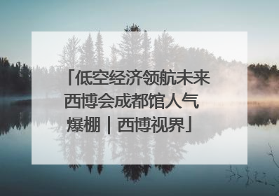 低空经济领航未来 西博会成都馆人气爆棚｜西博视界
