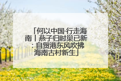 何以中国·行走海南丨燕子归时巢已新：自贸港东风吹拂 海南古村新生