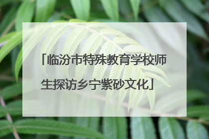 临汾市特殊教育学校师生探访乡宁紫砂文化