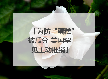 为防“蛋糕”被瓜分 美国罕见主动推销