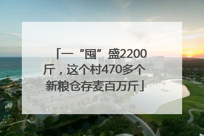 一“囤”盛2200斤，这个村470多个新粮仓存麦百万斤