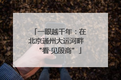 一眼越千年：在北京通州大运河畔“看·见殷商”