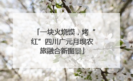 一块火烧馍，烤“红”四川广元月坝农旅融合新图景