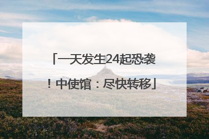 一天发生24起恐袭！中使馆：尽快转移