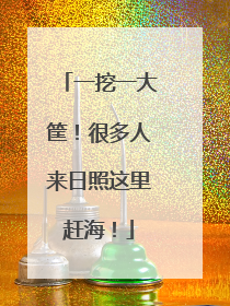一挖一大筐！很多人来日照这里赶海！