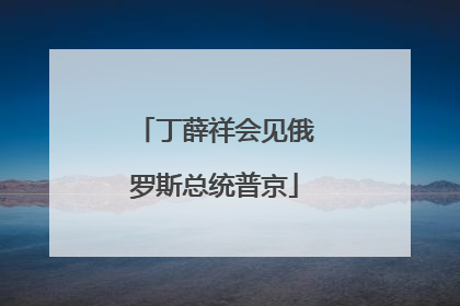 丁薛祥会见俄罗斯总统普京
