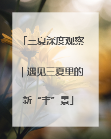 三夏深度观察｜遇见三夏里的新“丰”景