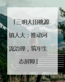 三明大田桃源镇人大：推动河流治理，筑牢生态屏障