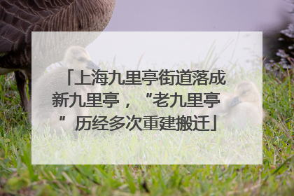 上海九里亭街道落成新九里亭，“老九里亭”历经多次重建搬迁