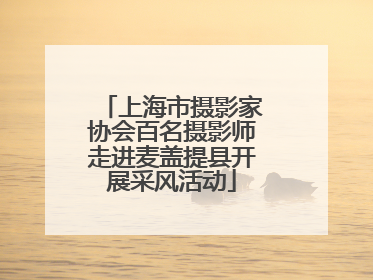 上海市摄影家协会百名摄影师走进麦盖提县开展采风活动