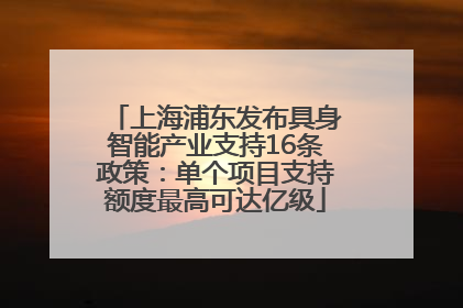 上海浦东发布具身智能产业支持16条政策：单个项目支持额度最高可达亿级