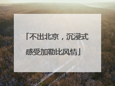 不出北京，沉浸式感受加勒比风情